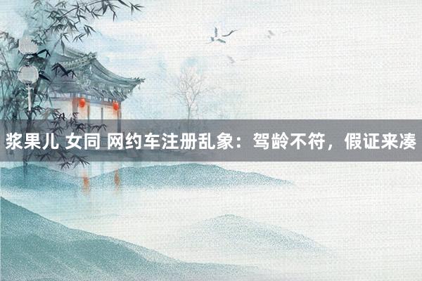 浆果儿 女同 网约车注册乱象：驾龄不符，假证来凑
